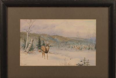 Allan Brooks (Canadian, 1869 - 1945): Deer in Landscape - Watercolor, 8.25 x 13 inches / signed lower left 