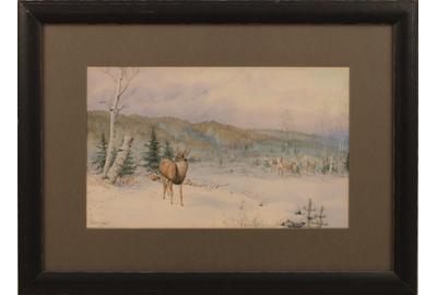 Allan Brooks (Canadian, 1869 - 1945): Deer in Landscape - Watercolor, 8.25 x 13 inches / signed lower left 