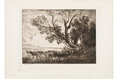 Charles François Daubigny; French, b.  1817, d.1878; The Ford;1865; etching; Cincinnati Art Museum, Gift of Herbert Greer French; 1940.174