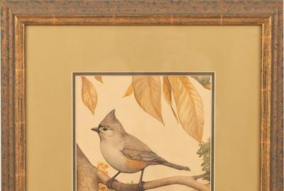 Earl Lincoln Poole (American 1891 – 1972) ( aka E.L.  Poole ): Titmouse - Watercolor, 10.5 x 7 inches / Signed and dated E.L.  Poole, 1913 lower right