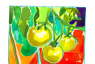 Fine Art Daily, tomato farm