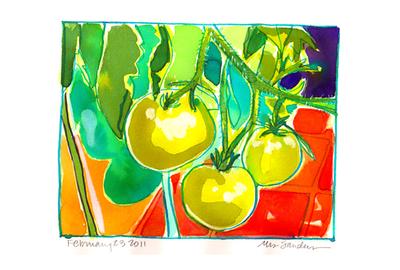 Fine Art Daily, tomato farm