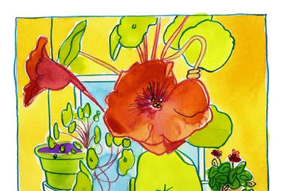 Fine Art Daily, nasturtiums