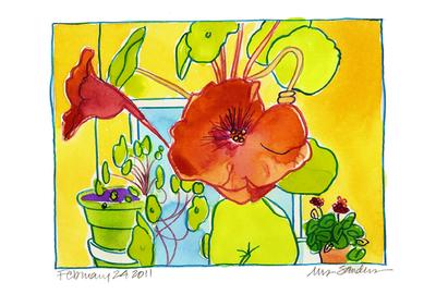 Fine Art Daily, nasturtiums