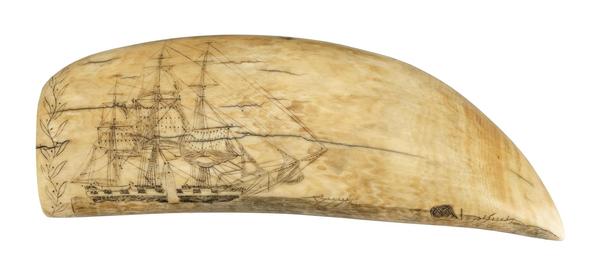 One of 250 pieces of scrimshaw on view