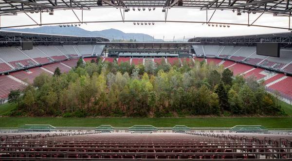 Klaus Littmann, "FOR FOREST - The Unending Attraction of Nature," art intervention, Wörthersee Stadium, Klagenfurt, Austria, 2019.