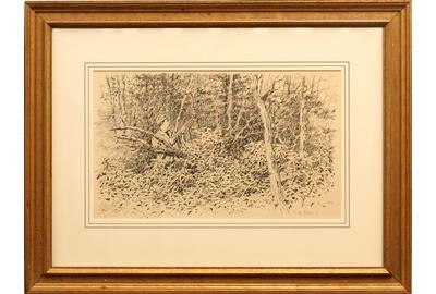 Arthur Burdett (A.B.) Frost (American 1851 – 1928) ( aka Arthur Burdett Frost, A.  B.  Frost ): Grouse Hunting - Pen and ink, 9.75 x 14.5 inches / Signed lower right