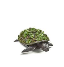 François-Xavier Lalanne (1927-2008) Tortue Topiaire 1987 Estimate: $80,000-120,000 