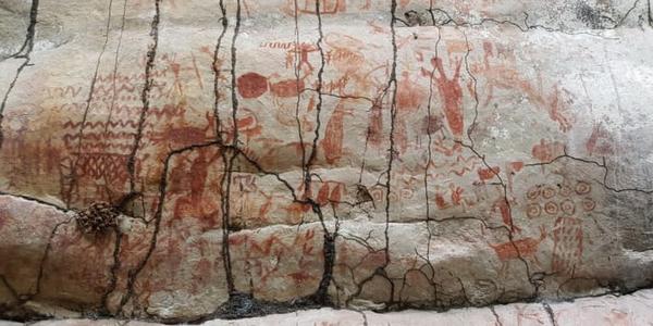 Rock art found in the Amazon rainforest.  Image: Professor José Iriarte via CNN