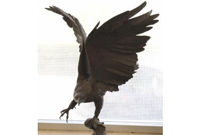 A Jules Moigniez signed bronze eagle statue ($500-2,000) depicts an eagle in mid-flight with one feet on a branch, 31 ½ inches tall.  