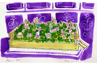 Fine Art Daily, pansies and geraniums