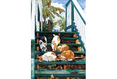 Key West Cats