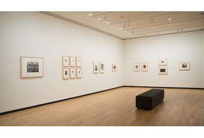 Capturing Landscape, installation at Krannert Art Museum, University of Illinois, 2018.