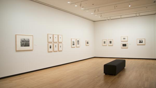 Capturing Landscape, installation at Krannert Art Museum, University of Illinois, 2018.