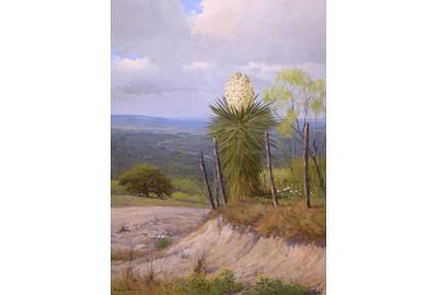 Porfirio Salinas, Yucca Vista, c.  1930s, oil on canvas, 36 x 24 inches.