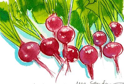 Fine Art Daily, radishes