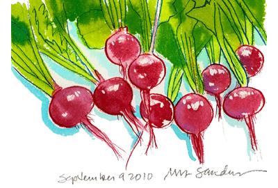 Fine Art Daily, radishes