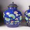 A pair of Qing dynasty Chinese Porcelain Fahua "Lotus" Jars and Covers,