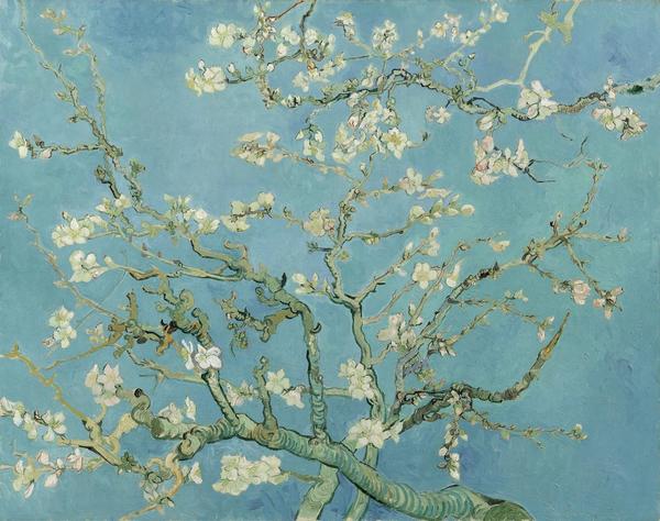 Almond Blossom by Vincent van Gogh (1853 - 1890), Saint-Rémy-de-Provence, 1890, oil on canvas, 73.3 cm x 92.4 cm.  Van Gogh Museum, Amsterdam (Vincent van Gogh Foundation)