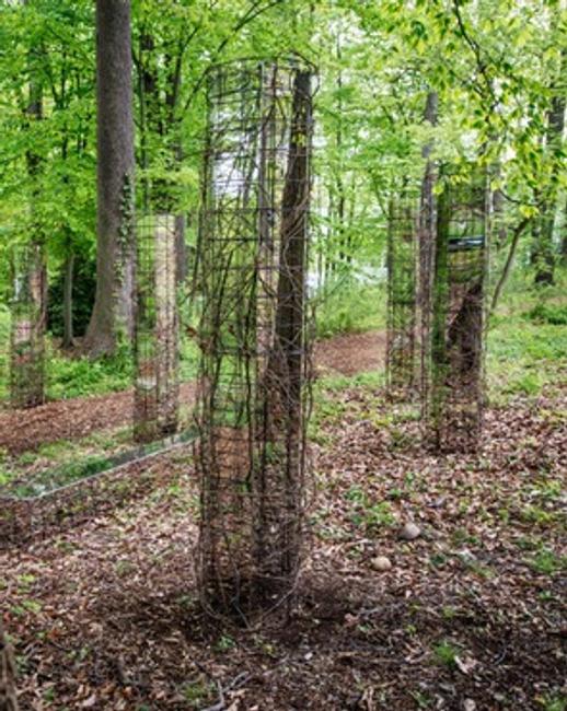 "Portals" by Sandra Muss (photo by Colin Winterbottom)