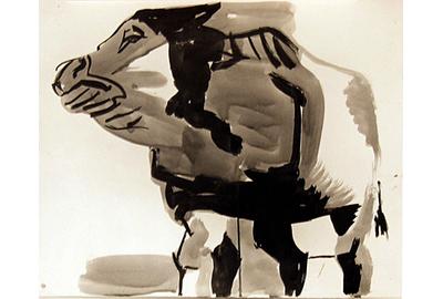 Howard Warshaw, Bull, c.  1950, ink on paper, 12.5 x 15 inches