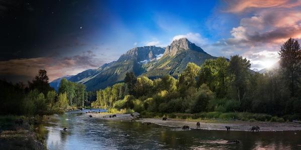  Stephen Wilkes, Grizzly Bears Bella Coola, British Columbia, Canada, Day to Night, 2018.  Courtesy of Robert Klein Gallery, Boston.  