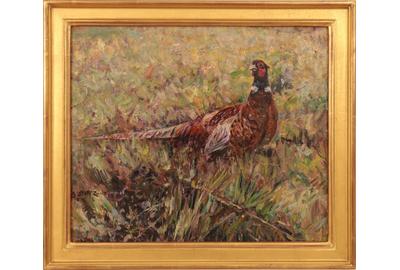 SPRING PHEASANT Oil on board, 11 x 13 inches/Signed lower left