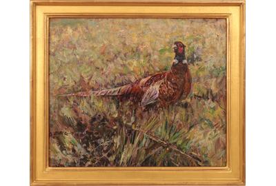 Scott Zuckerman (American born 1951): Spring Pheasant - Oil on board, 11 x 13 inches/Signed lower left