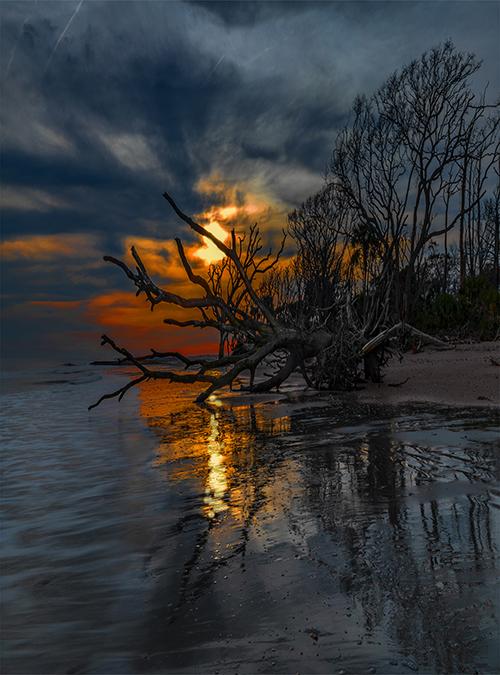 “Twilight on Botany Bay, SC” by Jill Moles Mullins 