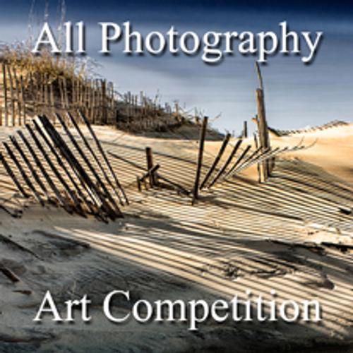 4th Annual "All Photography" Online Art Competition