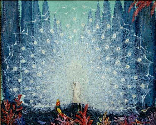 "Peacock with Tail in Full Spread, Oil on board 32 x 40 inches