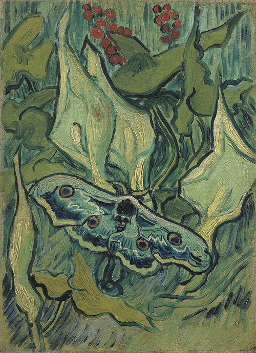 Emperor Moth, 1889.  Vincent Willem van Gogh, Dutch, 1853 1890.  Oil on canvas, 13 3/16 x 9 5/8 inches (33.5 x 24.5.cm).  Van Gogh Museum, Amsterdam.