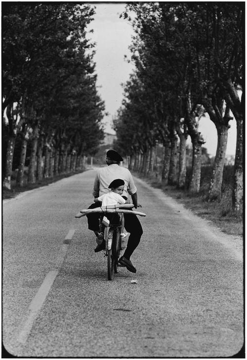 Provence, France, 1955