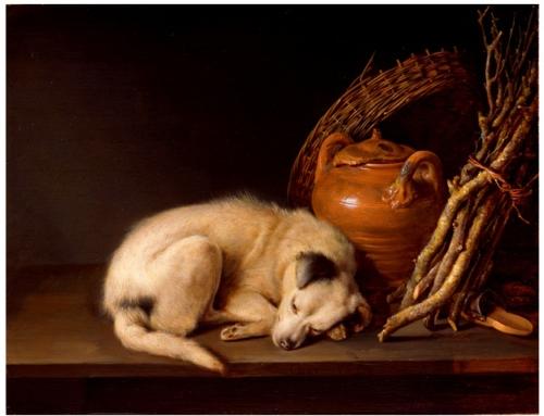 Sleeping Dog (1650) by Gerrit Dou, Rose-Marie and Eijk van Otterloo Collection.