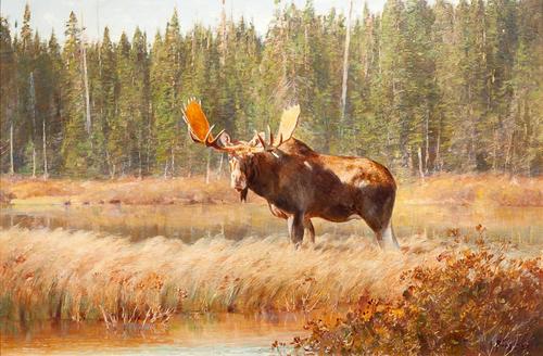 Carl Clemens Moritz Rungius (1869-1959) Bull Moose, oil on canvas, 23 1/4 by 35 1/2 inches, Estimate: $150,000-$250,000