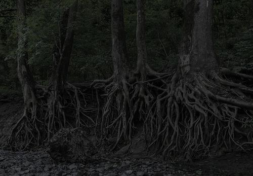 Jeanine Michna-Bales, Eagle Hollow from Hunter’s Bottom.  Just across the Ohio River, Indiana, 2014