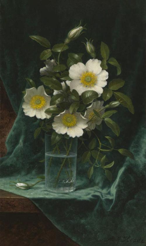 Martin Johnson Heade (1819-­‐1904) Cherokee Roses, c.  1883-­‐95.  Oil on canvas, 20 1/8 x 12 1/8 inches.  Courtesy of Adelson Galleries