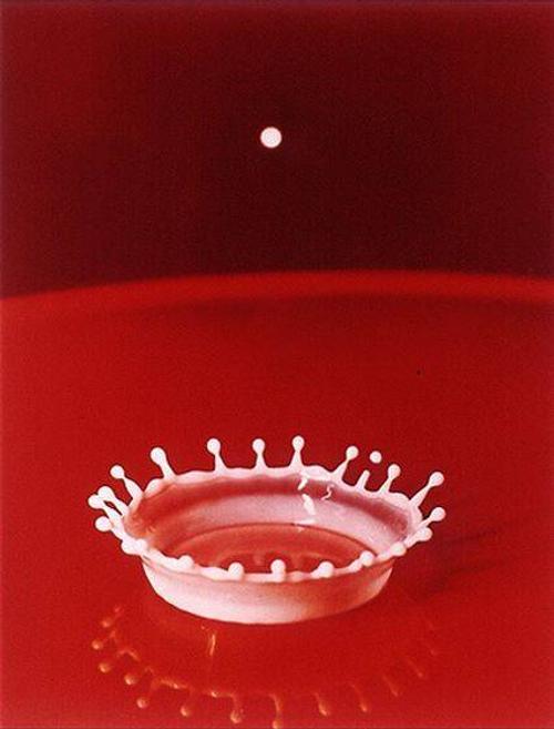 Milk Drop Coronet, 1957 Harold Edgerton (1903-1990) ©Harold & Esther Edgerton Foundation, 2010, courtesy of Palm Press, Inc.