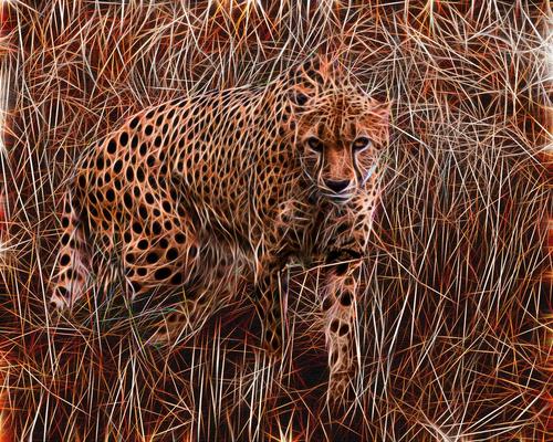 Cheetah Hunting, 2022, Digital Sublimation Print on Aluminum, 30" x 36" by Howard Harris