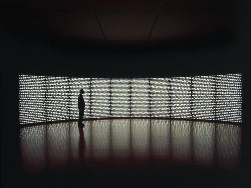 Catherine Wagner, "Pomegranate Wall," 2000; Ten light boxes with printed duratrans, fluorescent lights, metal frame; 96 x 480 inches; Collection of the San José Museum of Art.  Acquired from the artist upon the completion of the San José Museum of Art Artist Residency Fellowship, awarded to the artist in 1997; 2001.40.