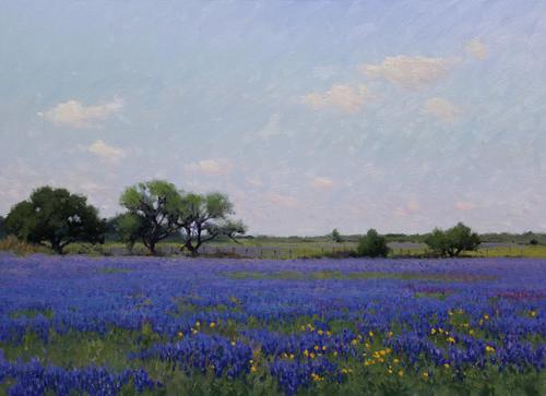 Noe Perez, Bluebonnet Field Near San Antonio, 2011, oil on canvas, 20 x 27.75 inches