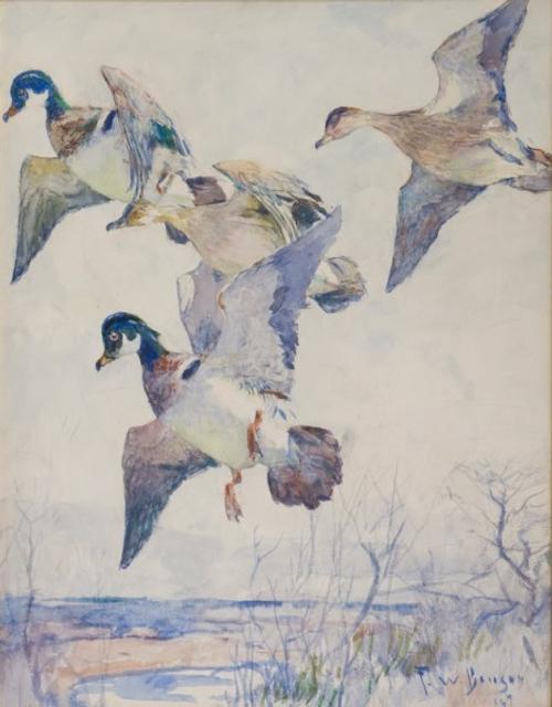 Lot 11: Frank W.  Benson (1862-1951) Wood Ducks