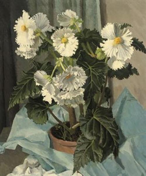 Gerald Cooper, Summer Flowers