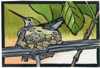 Sherrie York, “Home Sweet Home,” Hand Painted Linocut, 4 x 6 inches.  (Hummingbird in nest)