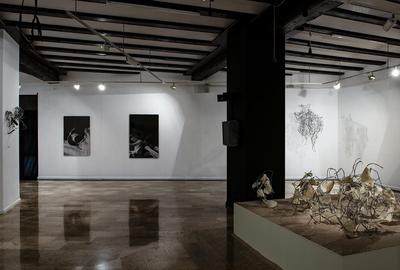 Kathryn Hart, THE OTHER VOICE, installation view