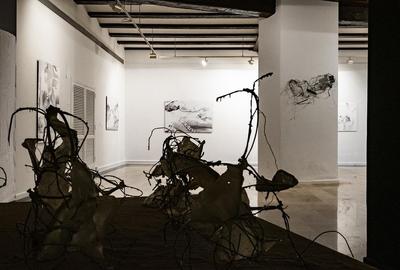 Kathryn Hart, THE OTHER VOICE, installation view